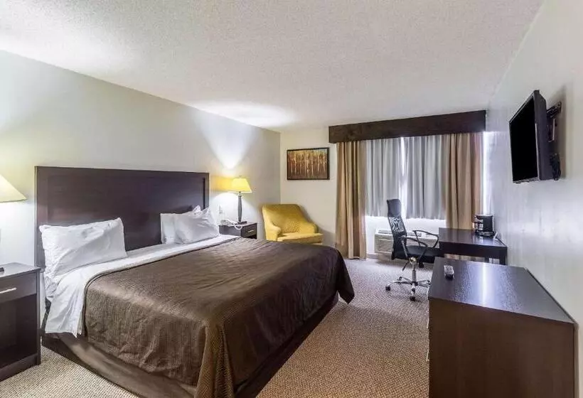 اتاق استاندارد با تخت بزرگ, Clarion Inn Near Mcallen Airport