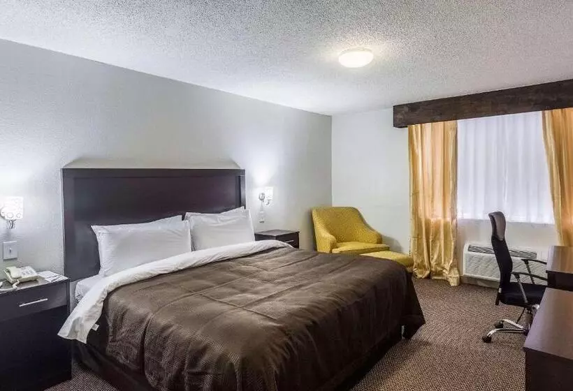 اتاق استاندارد با تخت بزرگ, Clarion Inn Near Mcallen Airport
