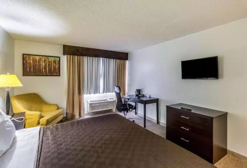 اتاق استاندارد با تخت بزرگ برای معلولان, Clarion Inn Near Mcallen Airport