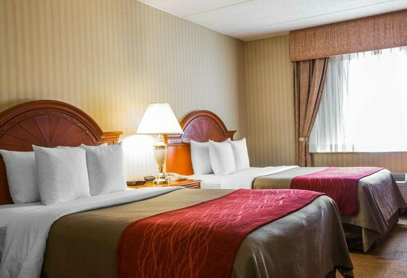 غرفه قياسيه سريرين مزدوجين, Comfort Inn & Suites