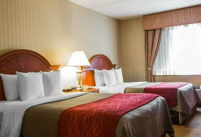 ２ダブルベッドのスタンダードルーム, Comfort Inn & Suites