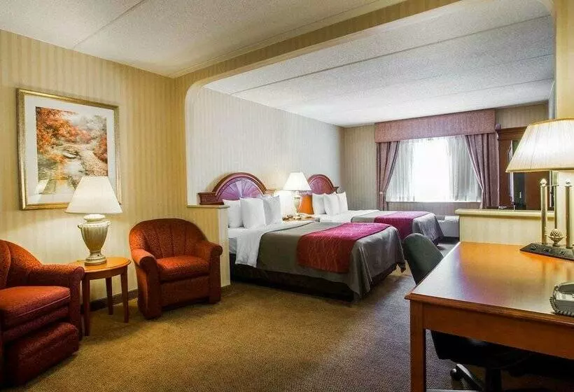 ２ダブルベッドのスタンダードルーム, Comfort Inn & Suites