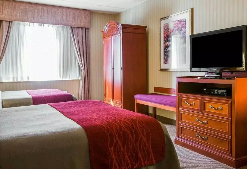 ２ダブルベッドのスタンダードルーム, Comfort Inn & Suites