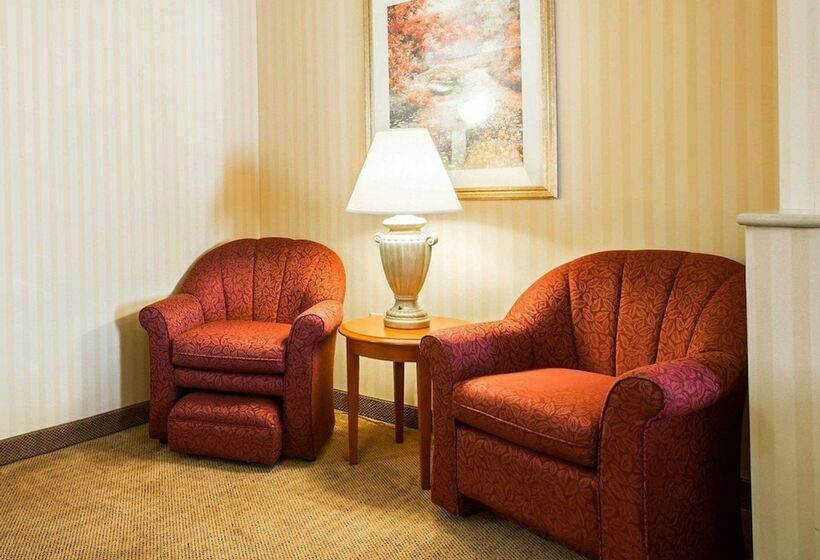 غرفه قياسيه سريرين مزدوجين, Comfort Inn & Suites