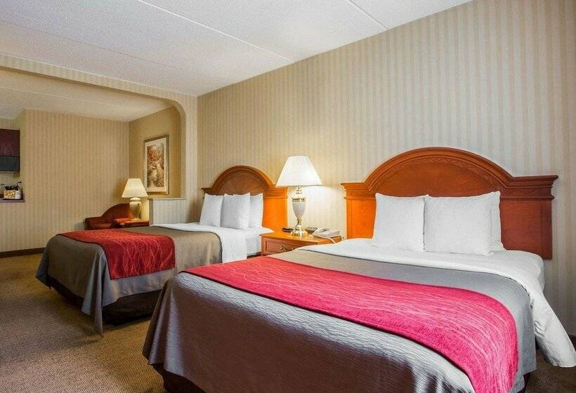 غرفه قياسيه سريرين مزدوجين, Comfort Inn & Suites