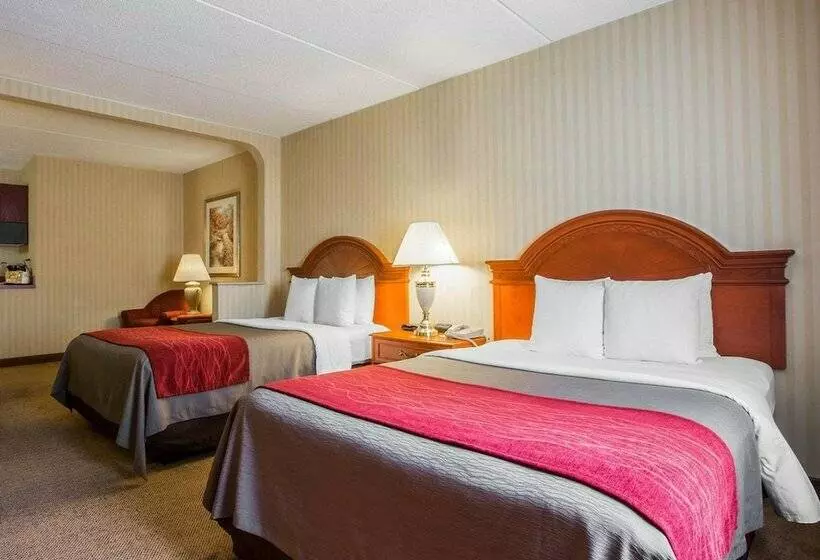 ２ダブルベッドのスタンダードルーム, Comfort Inn & Suites