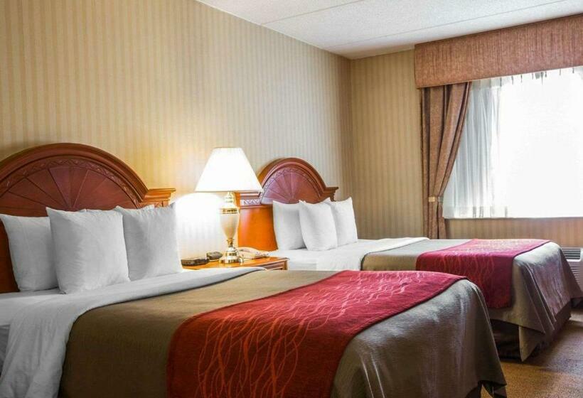غرفه قياسيه سريرين مزدوجين, Comfort Inn & Suites