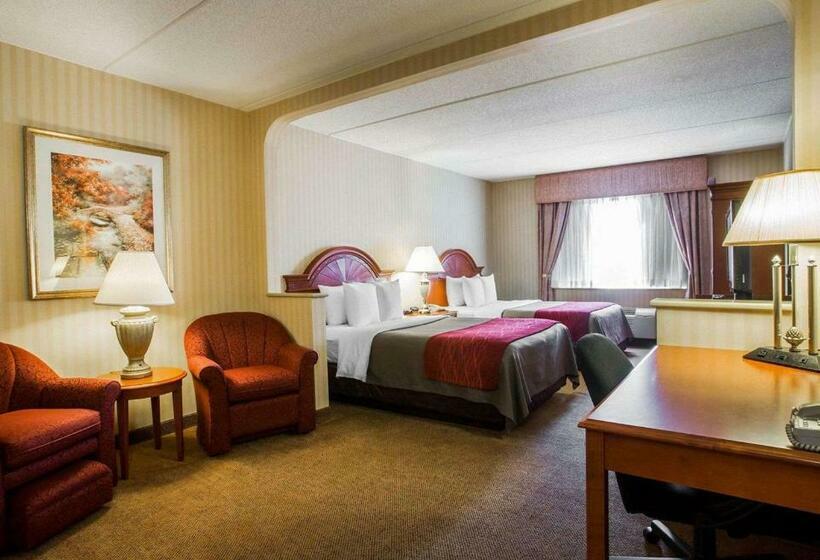 Номер Стандарт 2 Двуспальные Кровати, Comfort Inn & Suites