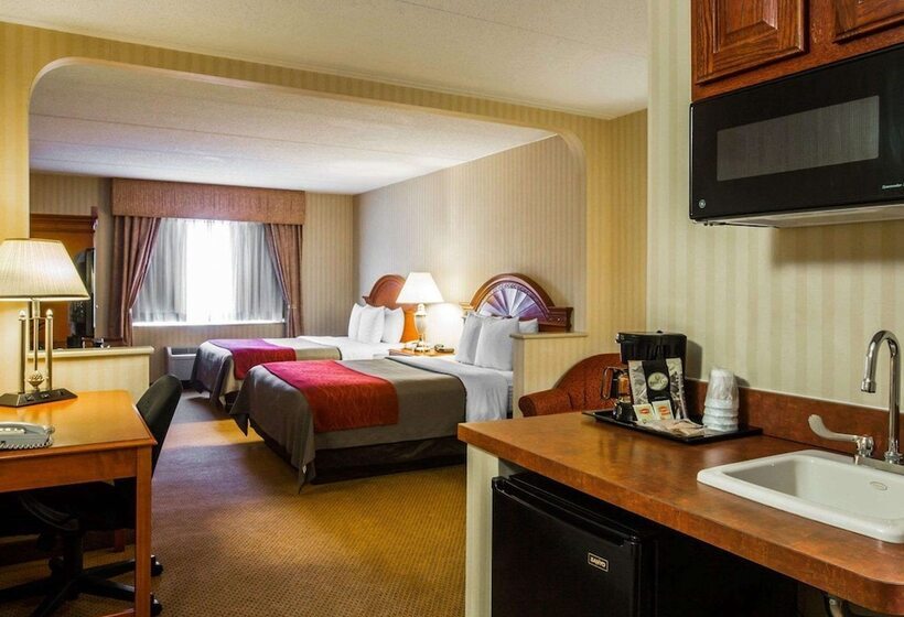 غرفه قياسيه سريرين مزدوجين, Comfort Inn & Suites