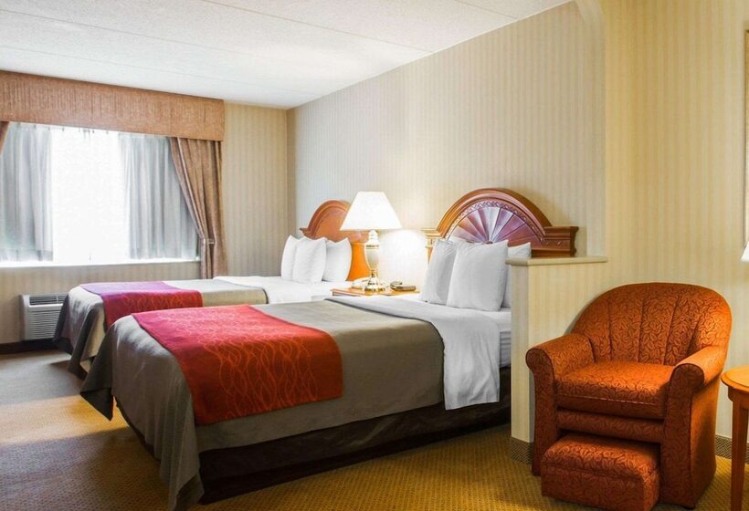 غرفه قياسيه سريرين مزدوجين, Comfort Inn & Suites