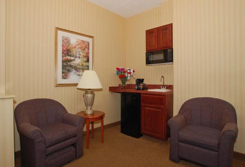 غرفة قياسية سرير كينج, Comfort Inn & Suites