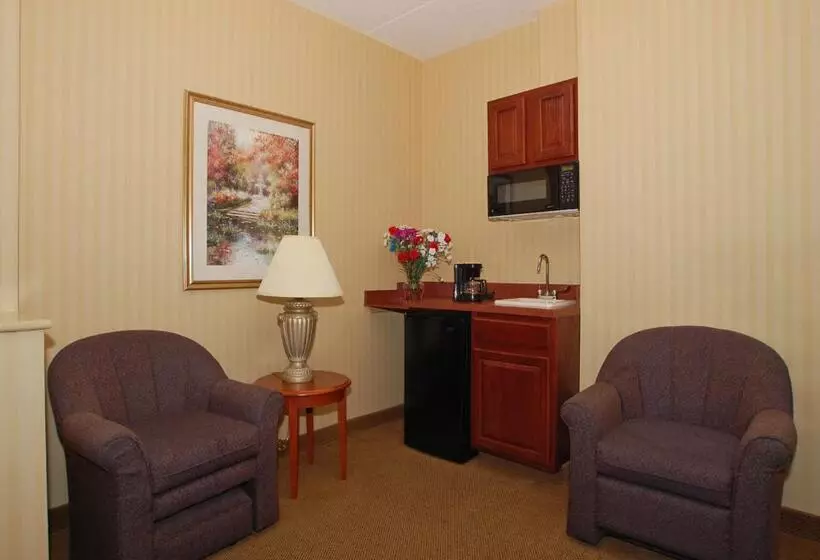 キングサイズベッドのスタンダードルーム, Comfort Inn & Suites