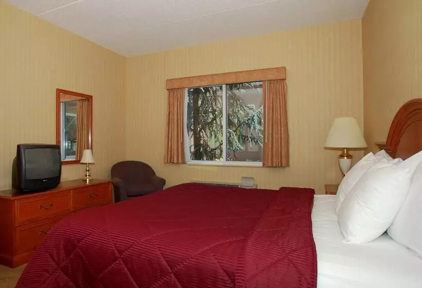キングサイズベッドのスタンダードルーム, Comfort Inn & Suites