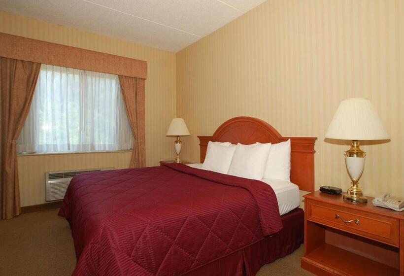 غرفة قياسية سرير كينج, Comfort Inn & Suites