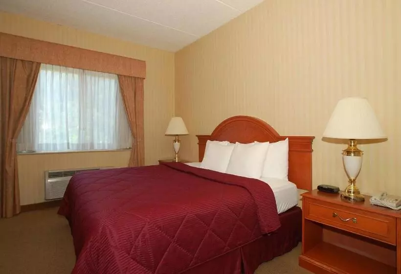 キングサイズベッドのスタンダードルーム, Comfort Inn & Suites