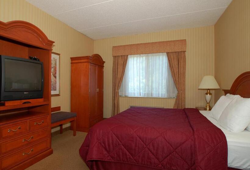 غرفة قياسية سرير كينج, Comfort Inn & Suites