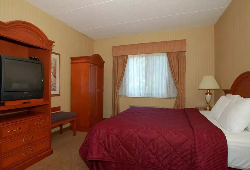 キングサイズベッドのスタンダードルーム, Comfort Inn & Suites