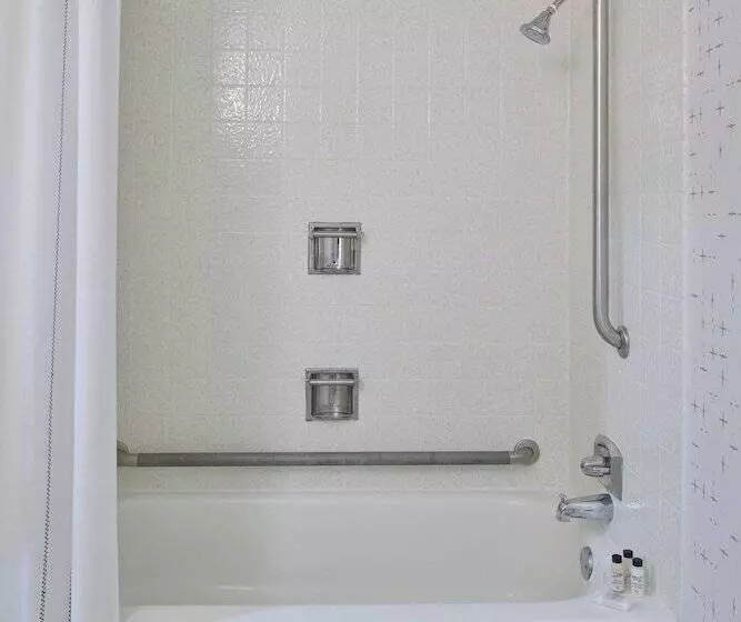 ダブルベッドスタンダードルーム, Delta Hotels By Marriott Detroit Novi