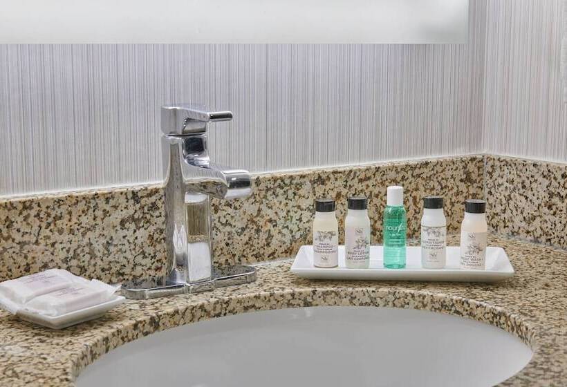 Номер Стандарт Двуспальная Кровать, Delta Hotels By Marriott Detroit Novi