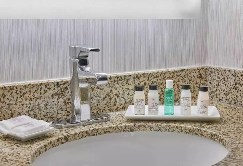 ダブルベッドスタンダードルーム, Delta Hotels By Marriott Detroit Novi