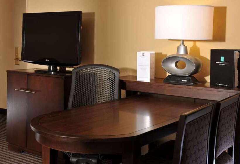 غرفة قياسية سرير كينج, Embassy Suites Boca Raton