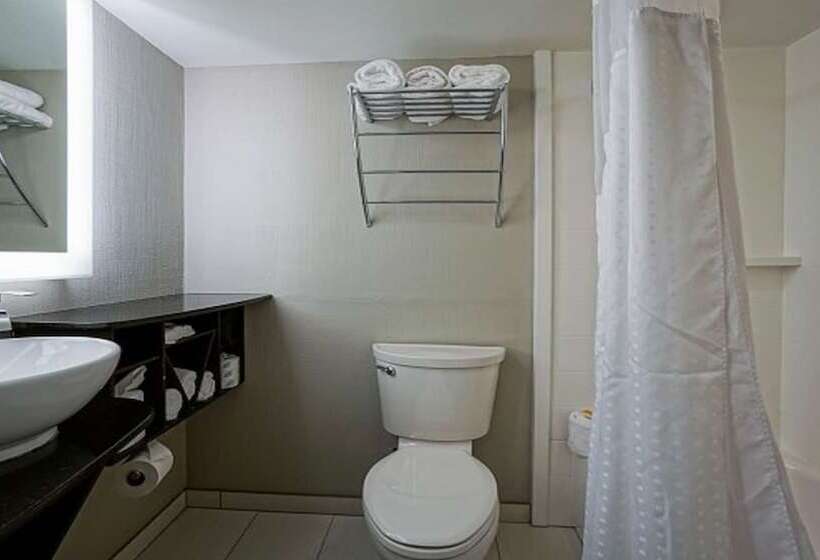 带2个双人床的标准工作室, Holiday Inn At The Campus, An Ihg