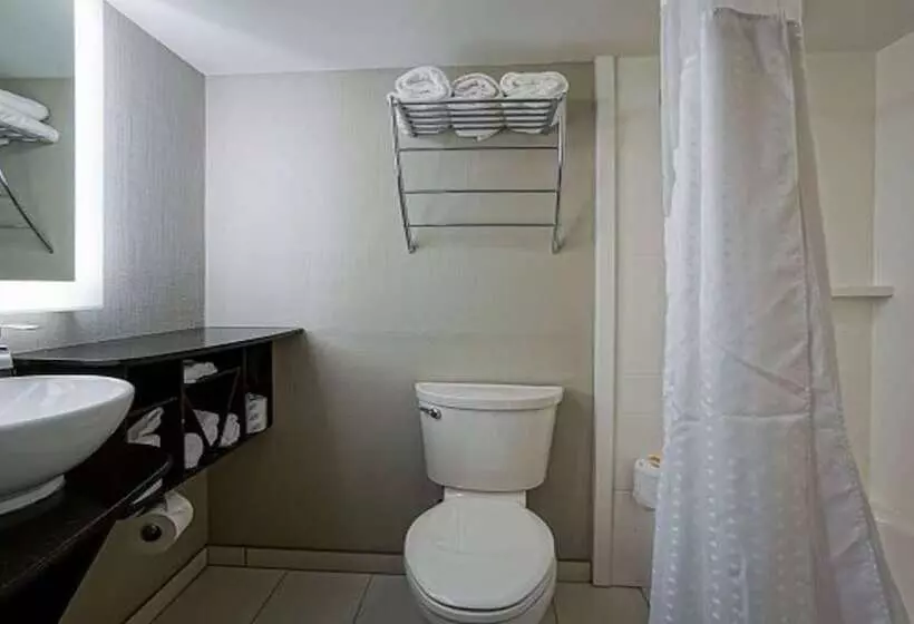 اتاق استاندارد با 2 تخت دوبل, Holiday Inn At The Campus, An Ihg