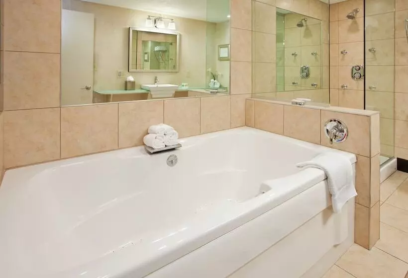 سوییت, Holiday Inn At The Campus By Ihg