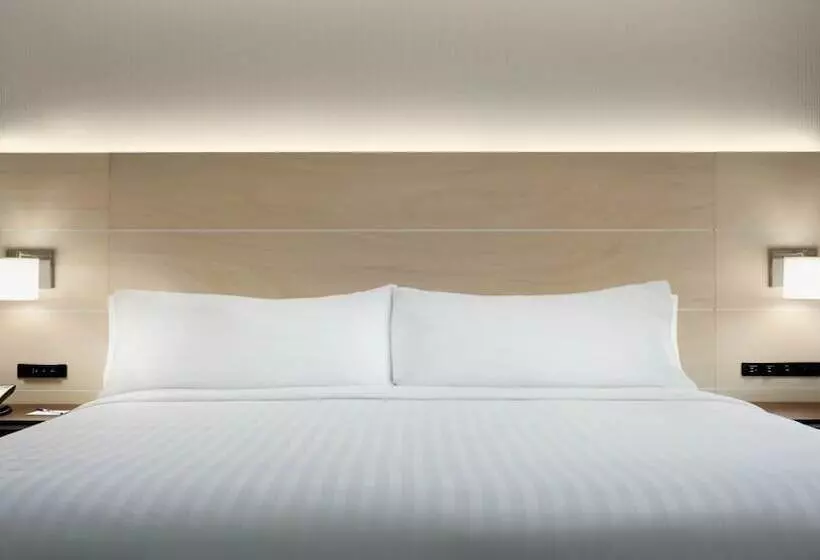 スタンダードルーム, Holiday Inn Express Williamsburg Busch Gardens Area By Ihg