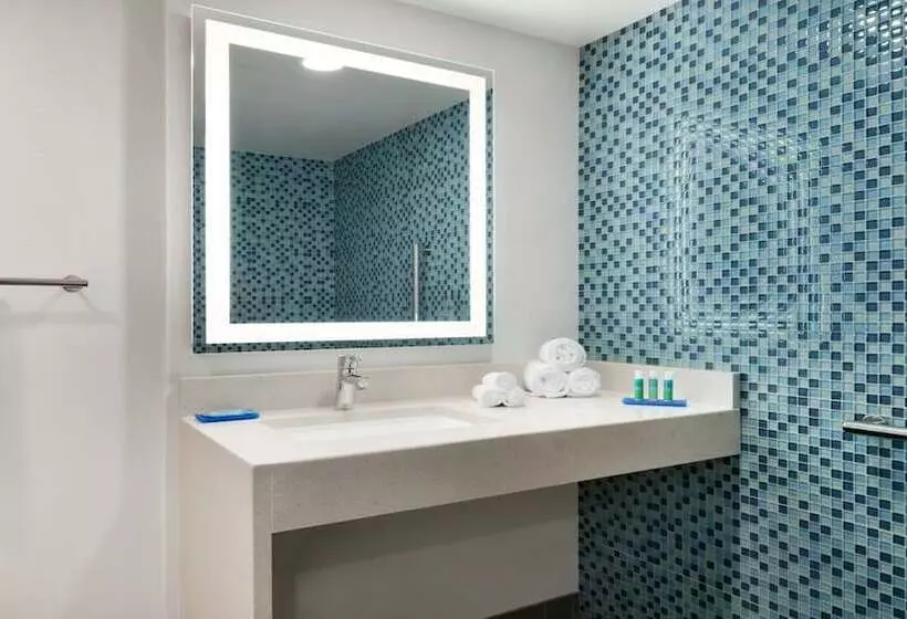 身障者適用スイートルーム, Holiday Inn Express Williamsburg Busch Gardens Area By Ihg
