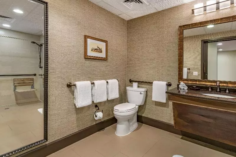 Sviitti Liikuntarajoitteisille, Omni Austin Hotel Downtown