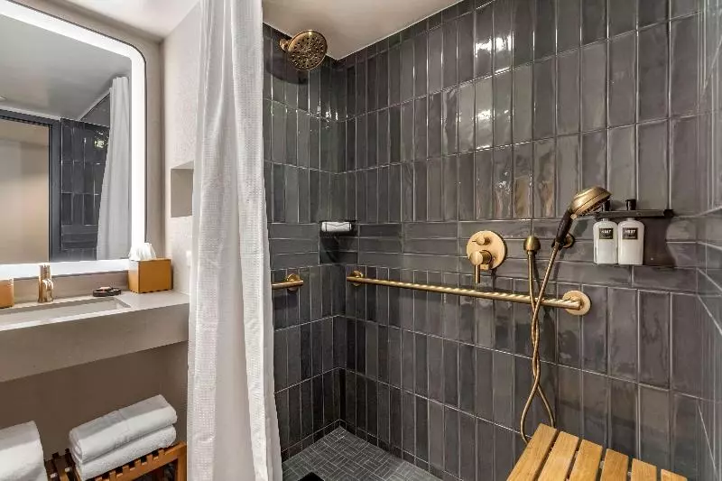 اتاق دلوکس مخصوص معلولین, Omni Austin Hotel Downtown