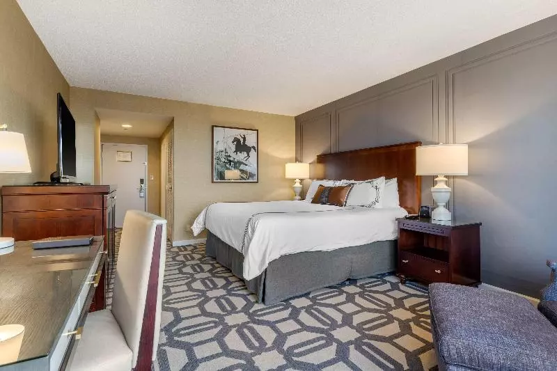 اتاق لوکس با تخت بزرگ, Omni Richmond