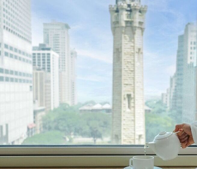 套房, Park Hyatt Chicago