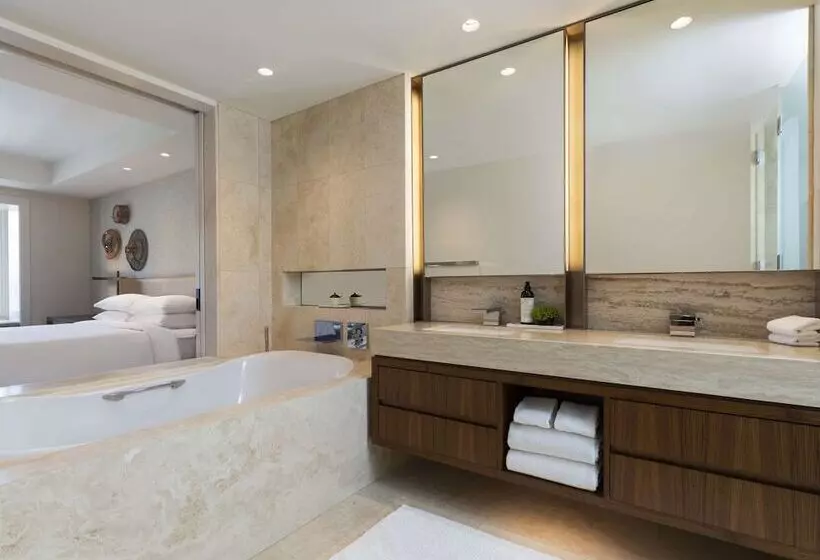 レイクビューデラックスルーム, Park Hyatt Chicago