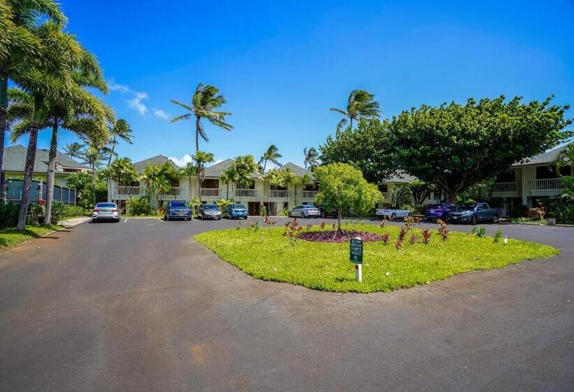 شقة غرفتين, Poipu Kapili #60