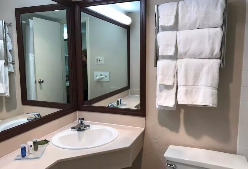 ２ダブルベッドのスタンダードルーム, Radisson Hotel Louisville North