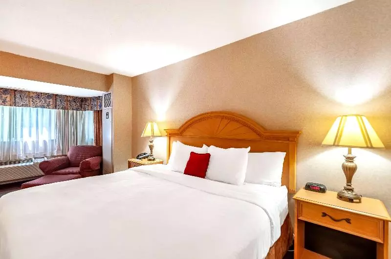 キングサイズベッドのスタンダードルーム, Red Lion Hotel Rosslyn Iwo Jima