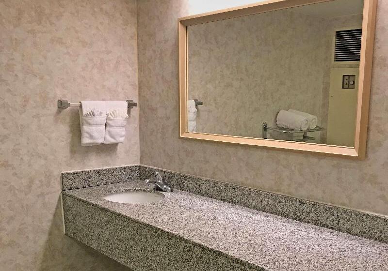 스탠다드 룸 킹사이즈 침대, Red Lion Hotel Rosslyn Iwo Jima