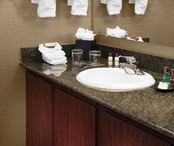 带2个双人床的标准工作室, Sheraton Detroit Metro Airport