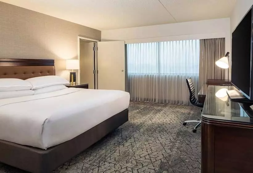 景色の見えるダブルベッドスタンダードルーム, Sheraton Detroit Metro Airport
