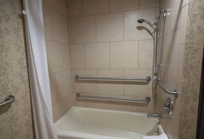 חדר דלוקס מותאם לאנשים עם מוגבלויות, Peek N Peak Resort Trademark Collection By Wyndham