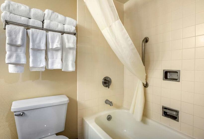 חדר סטנדרט שתי מיטות זוגיות, Clarion Hotel Conference Center On Lake Erie