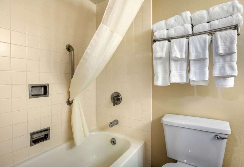 חדר סטנדרט שתי מיטות זוגיות, Clarion Hotel Conference Center On Lake Erie