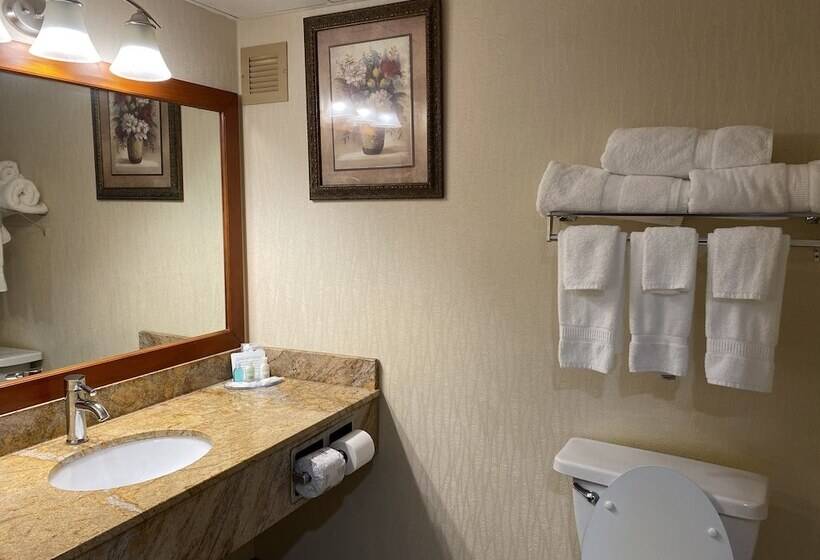 חדר סטנדרט עם מיטת קווין, Clarion Hotel Conference Center On Lake Erie