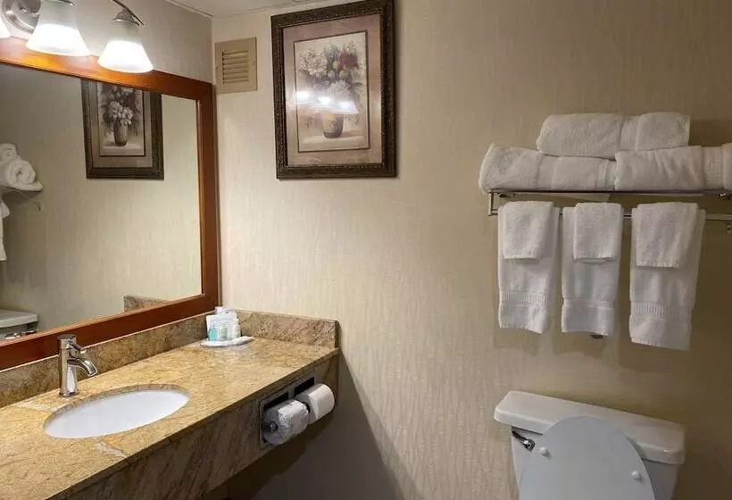 クイーンサイズベッドのスタンダードルーム, Clarion Hotel Conference Center On Lake Erie