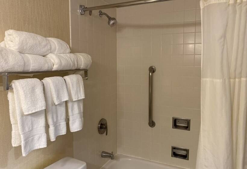 クイーンサイズベッドのスタンダードルーム, Clarion Hotel Conference Center On Lake Erie