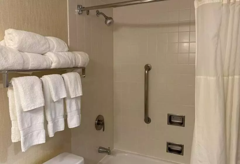 クイーンサイズベッドのスタンダードルーム, Clarion Hotel Conference Center On Lake Erie
