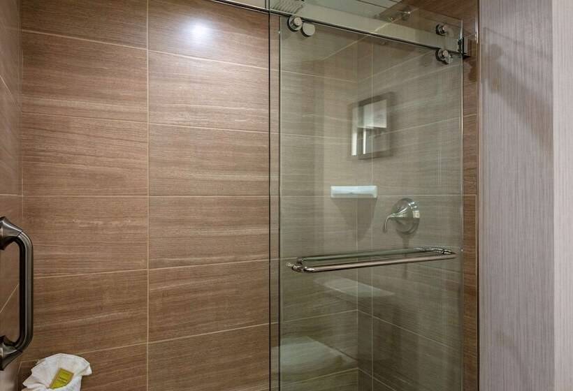 장애인용 디럭스룸, Doubletree By Hilton Burlington Vermont