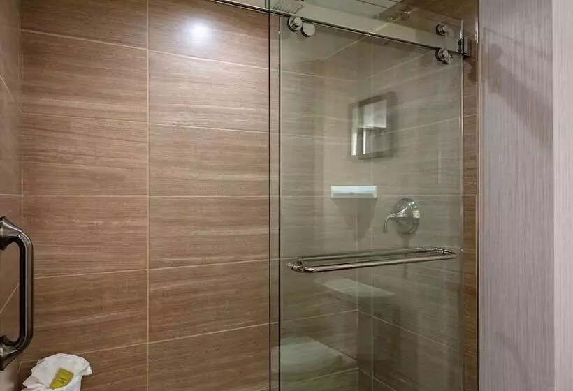 اتاق دلوکس مخصوص معلولین, Doubletree By Hilton Burlington Vermont